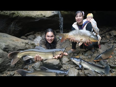 Drain the puddle, catch the giant fish, farm life. SURVIVAL ALONE