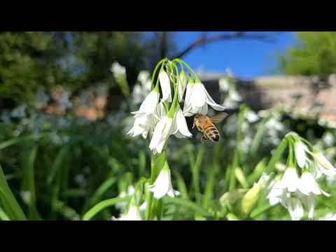 Z Fold 3   super slow motion   960 fps  720p