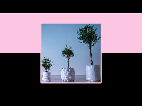 Flower Pots - Darius James [LYRICS + TRADUÇÃO PT/BR] ♪ DROP MUSIC