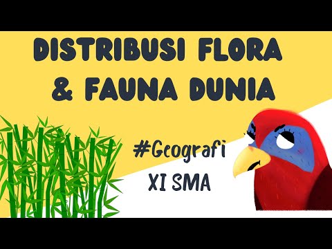 , title : 'XI SMA_Distribusi Flora dan Fauna Dunia'