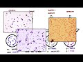 Microbiology Stains Explained Simply | Gram Stain, Acid-Fast, Capsule & Spore