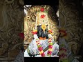 Kanada Raja Pandharicha Ekadashi Status Video Shorts Youtubeshorts Youtube Arkproduction