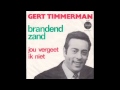 Gert Timmerman - Brandend zand