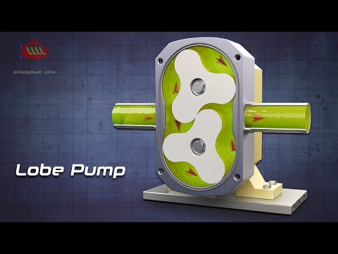 Part of a video titled How lobe pump works | Rotary lobe pump - YouTube