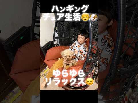 fauteuil-suspendu-jardin-résine-tressée-noire-coussins-blancs