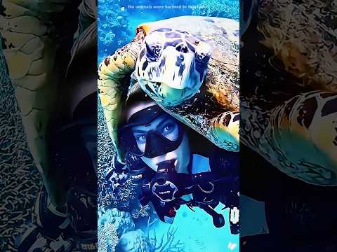 Esta tortuga todavia la recuerda#shorts