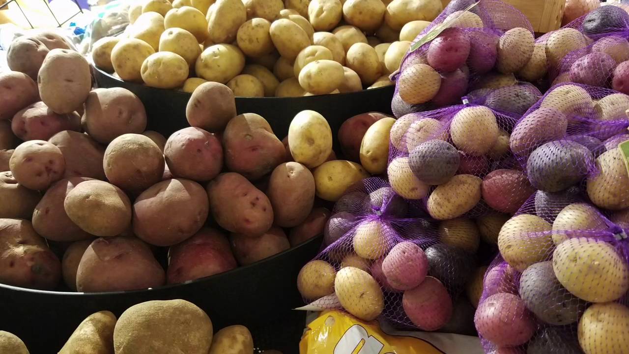 Willy Street North - WIC Program