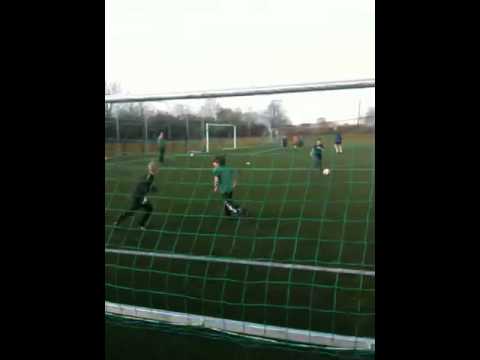 Training legmeervogels