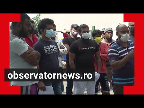 Muncitori din Sri Lanka, soluții de relocare. Ce asigurări le-a oferit ministrul Muncii