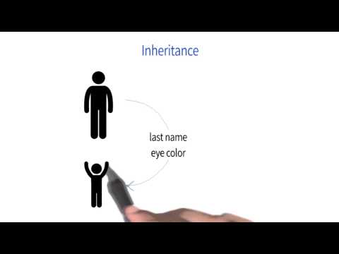 What Will We Create Programming Foundations with Python