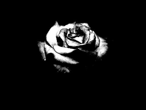 Mika Filborne - Black Rose