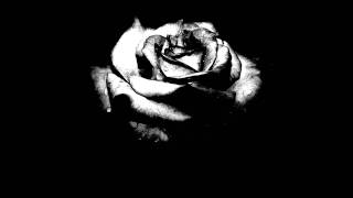 Mika Filborne - Black Rose