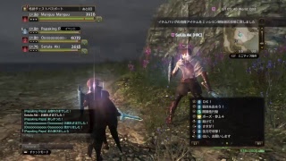 DDON フィネガンズ装備揃いました！！