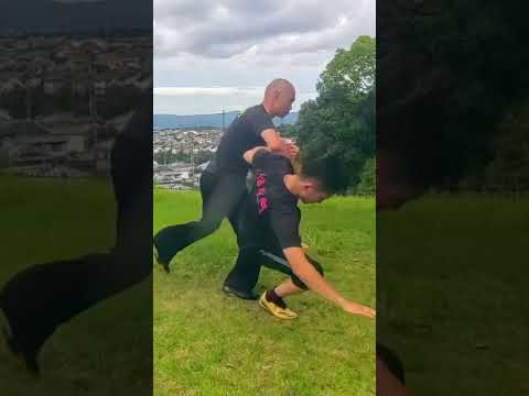 #林隆志 #自然門 #Ziranmen   #CQC #evantai #崩し技 #体術 #護身術 #間合い #重心操作 #martialarts #selfdefense