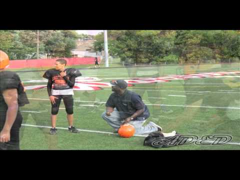 SHUTDOWN STILL VIDEO