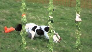 Detroit Spinners - Working My Way Back To You - ( Alta Calidad ) HD  Woofstock2015