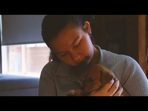 Haven, a documentary by Mikayla Dymock