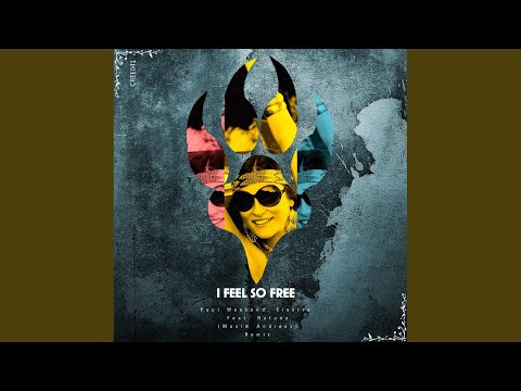 I Feel So Free (Remix)