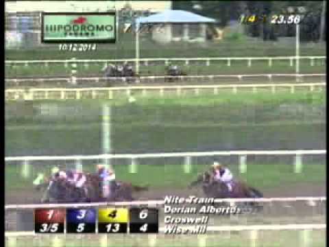 7MA CARRERA DEL DOMINGO 12 DE OCTUBRE DEL 2014 HPR