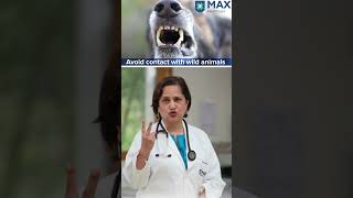 What are 3 ways to prevent rabies in humans? | Max Hospital