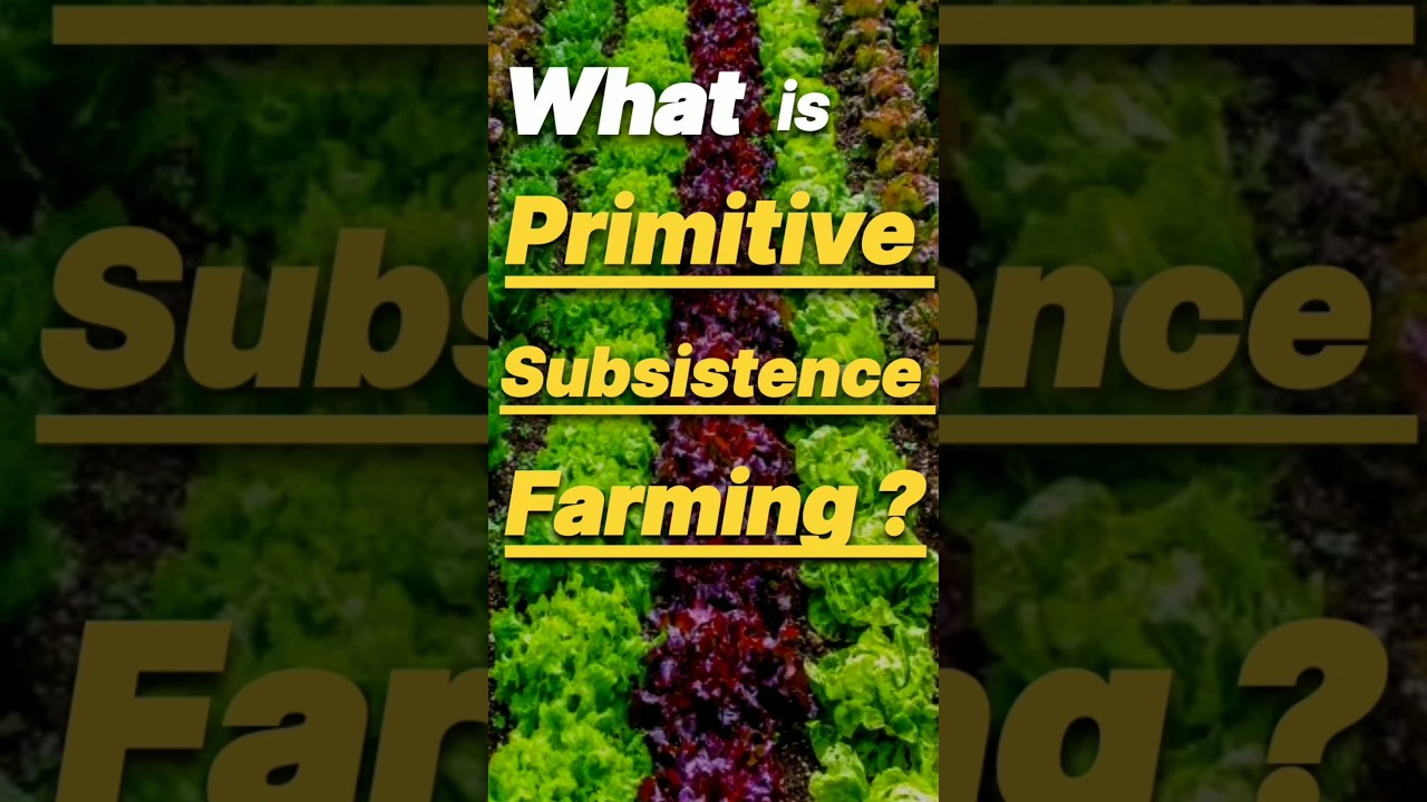Primitive Subsistence Farming |Features of Primitive subsistence farming | Agriculture | Geography