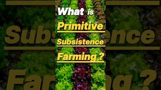 Primitive Subsistence Farming |Features of Primitive subsistence farming | Agriculture | Geography