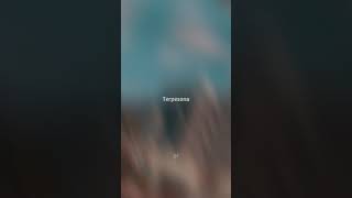 Download lagu Story wa 30 detik.Selamat pagi dunia tipu tipu mp3 Download lagu Story wa 30 detik.Selamat pagi dunia tipu tipu mp3