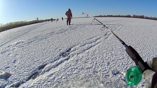 Ловля хищника зимой на балансиры