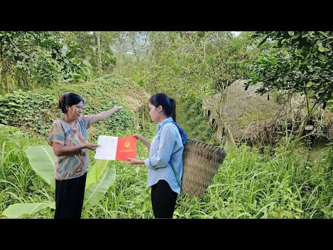 Eine hilfsbereite Frau schenkt einer alleinerziehenden Mutter ein verlassenes Haus – ein neues Leben
