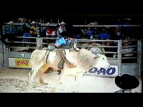 José edson vs ninja