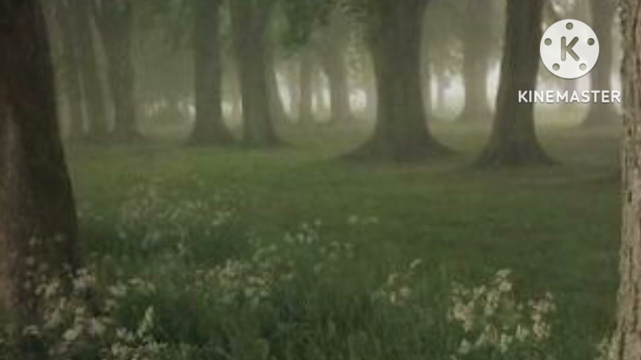 Oração de envultamento para ficar invisível de seus inimigos - Luana