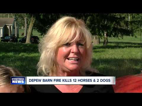 14 animals killed in Depew Barn fire