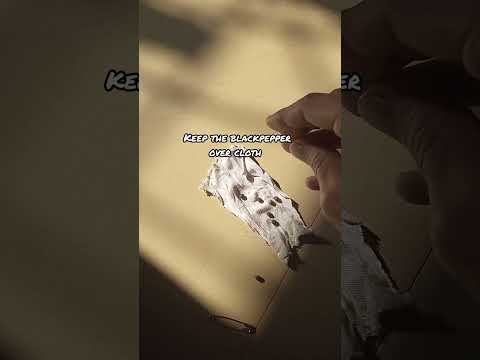 how to delay periods naturally