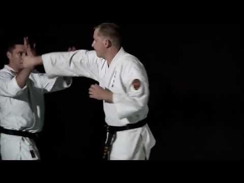 Karate Jutsu introduction - Lionel Froidure