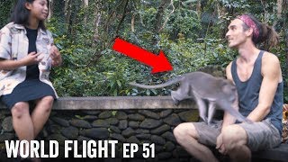MONKEY INTERRUPTS INTERVIEW! - World Flight Episode 51