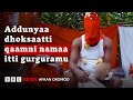 Hojii Tolchaa Ykn Falfalaa Qaamni Namaa Aarsaaf Itti Dhiyaatu BBC News Afaan Oromoo