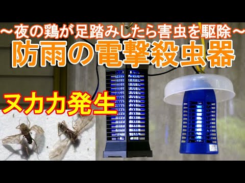 鶏のワクモの治療法は何ですか?イエダニを駆除するために取るべき手順  庭園