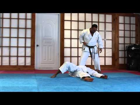 Ippon Kumite By Shihan Julio Martinez