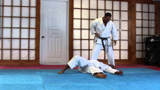 Ippon Kumite By Shihan Julio Martinez