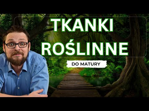 Tkanki roślinne | Zadania maturalne biologia | Miazga | Miękisz asymilacyjny | Odwrócona Lekcja