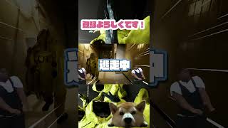 思い出の逃走なんですがｗ【Backrooms: Escape Together】#backrooms #ホラーゲーム #shorts #gaming