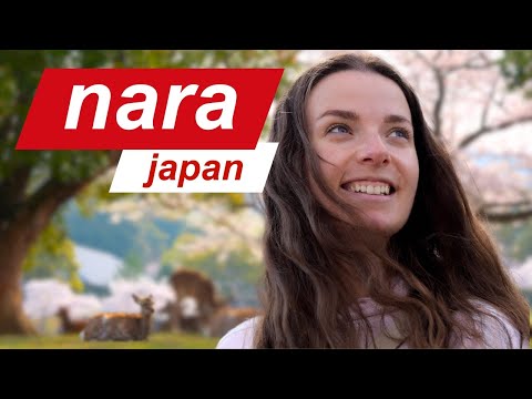 3 days in Nara 🇯🇵 Beyond the Deer 🦌 & Temples ⛩️