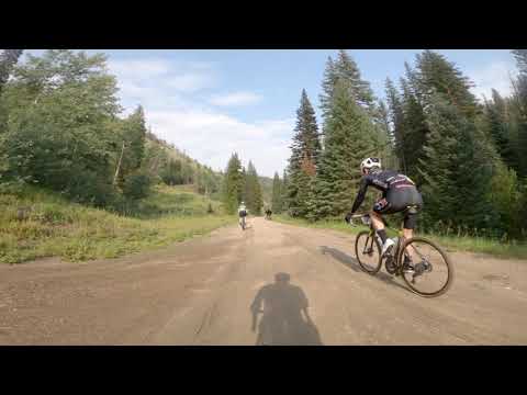 These Bikers Were In The Middle Of A Race When A Moose Joined In
