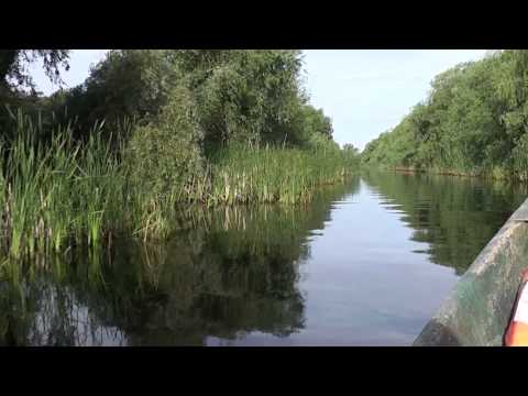 ROMÂNIA CEA FRUMOASĂ  - Delta Dunării (1)