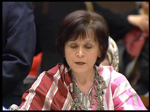 Gina Bublil-Waldman, United Nations Testimony