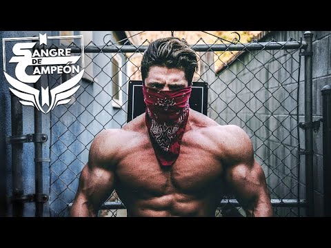 QUE NADIE TE DIGA QUE NO PUEDES - Motivación Gym