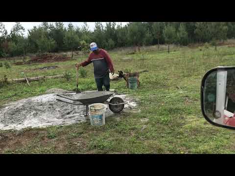 Yanky estorbante de juve finca ecologica Lenin sahid 2