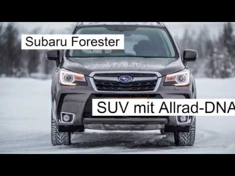 Subaru Forester: SUV mit Allrad-DNA