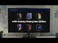 Samsung Galaxy S25 128 GB Enterprise Edition Silver Shadow