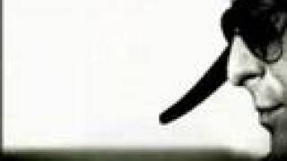 Paul Weller Black is the Colour